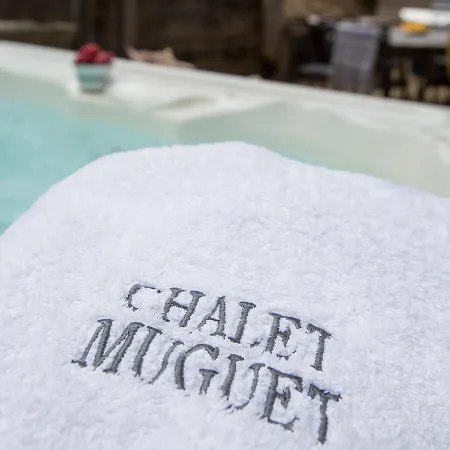 Muguet Gauche With Hot Tub Sleeps 10